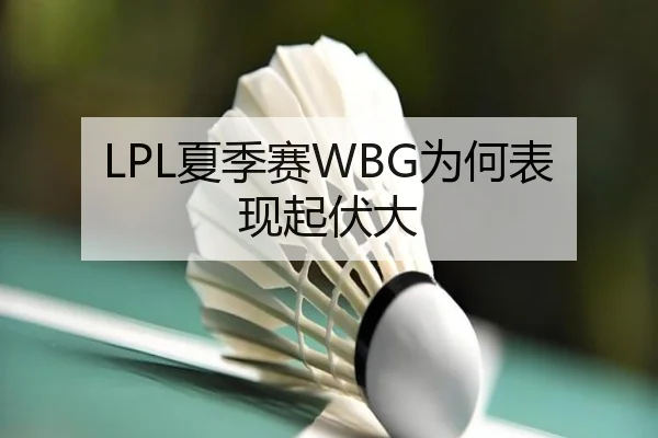 LPL夏季赛WBG为何表现起伏大